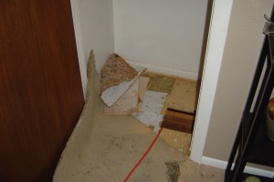 Our coat closet currently