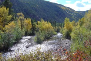 The Poudre River