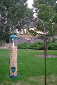 dsc02724 Our little birdfeeder