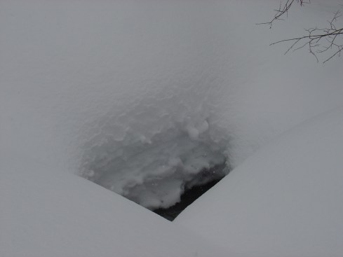 This is a hole in the snow over a little creek--see how much snow they have!?!?