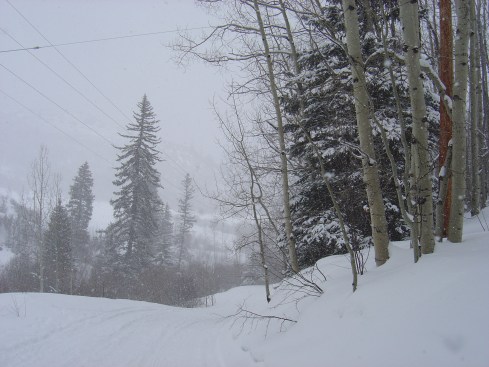 It really started snowing on our way back.