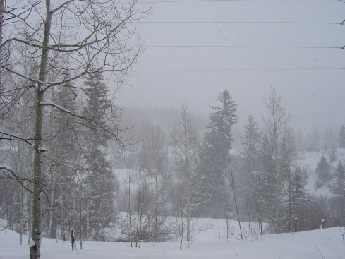 Just a pretty picture.