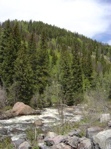 DSC03342 Some beautiful scenery