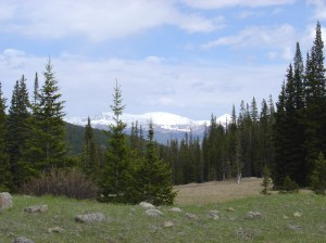 DSC03371 Beautiful view of the snow-capped mountains