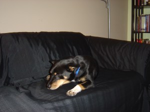 Katy's favorite thing to do