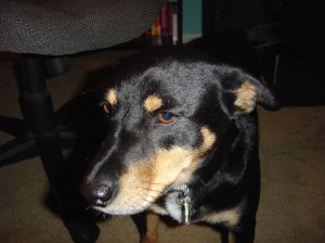 OK Mom, enough with the pictures already.