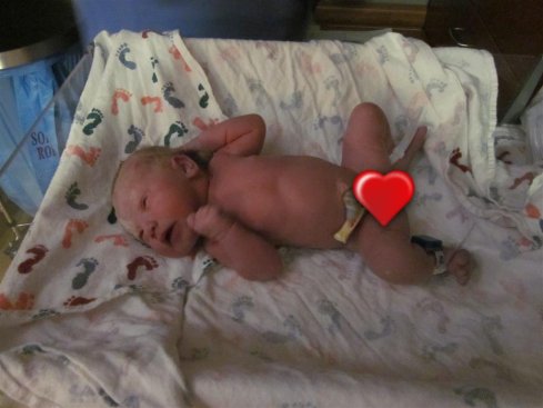 IMG_4373 (Large) blog