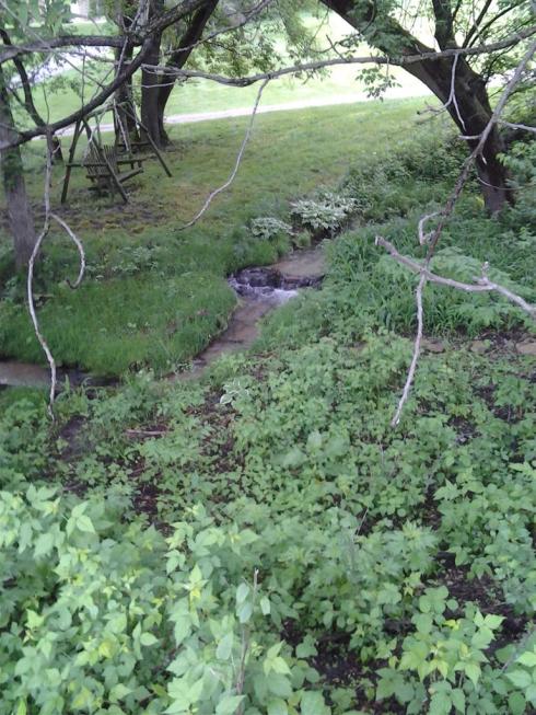 20130605_121858 (Large)