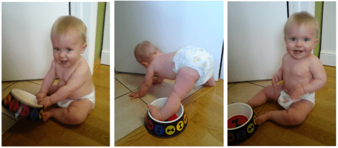 biscuit with dog dishes