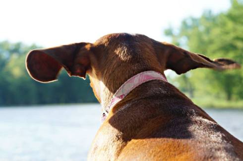 10456816_10101510494079962_5195454766865633883_n