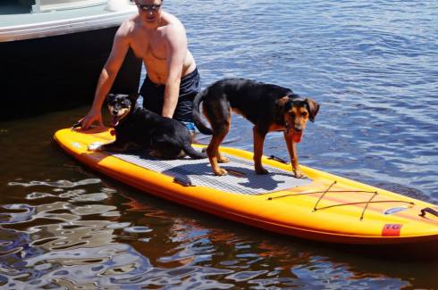 10500334_10101510493151822_2413368952540722719_n