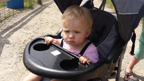 20140720_142954 (Large)