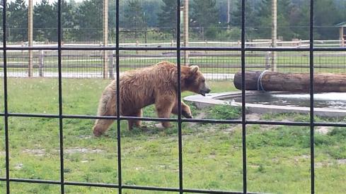 20140720_143058 (Large)