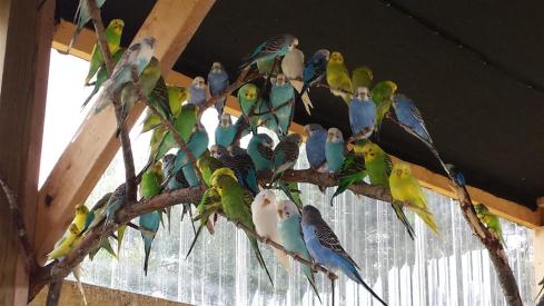 20140720_153736 (Large)