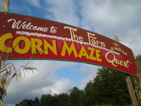 20140920_104525.jpg image