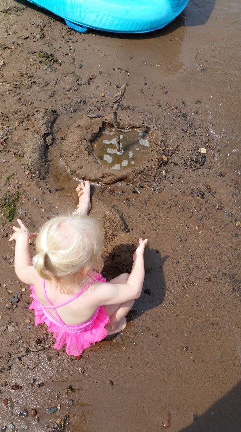 20150705_124940 (Large)