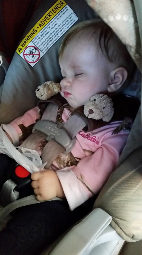 20151103_133308 (Large)