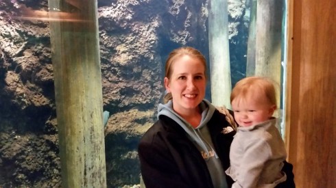 20151121_121550 (Large)