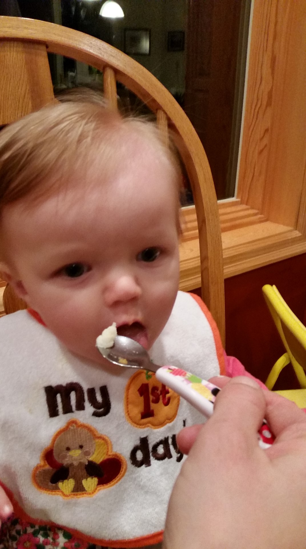 20151126_175006 (Large)