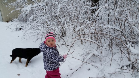 20151217_105136 (Large)