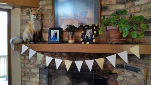 IMG_20160104_20773.jpg image