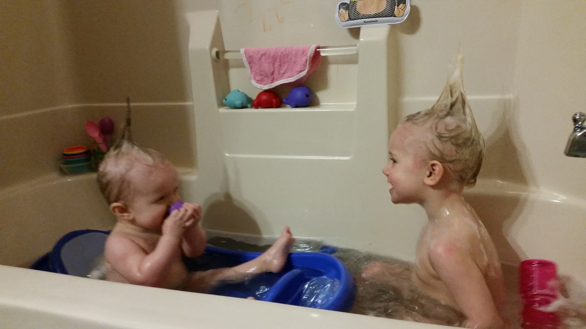 20160302_181722 (Large)