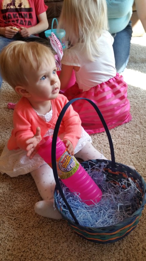 20160327_124738 (Large)