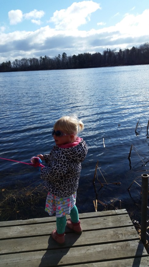 20160401_092955 (Large)