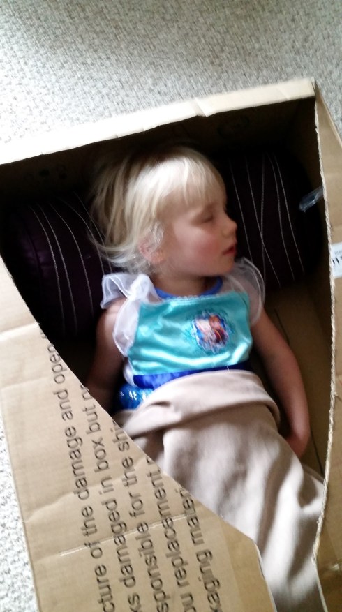 20160420_083444 (Large)