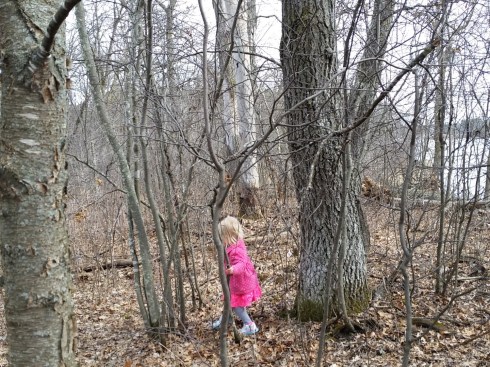 IMG_20160321_115402 (Large)