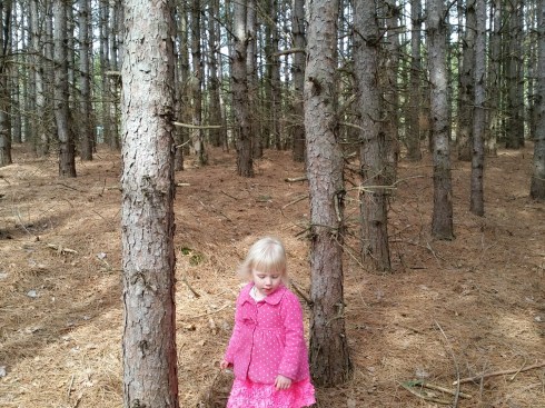 IMG_20160321_121240 (Large)