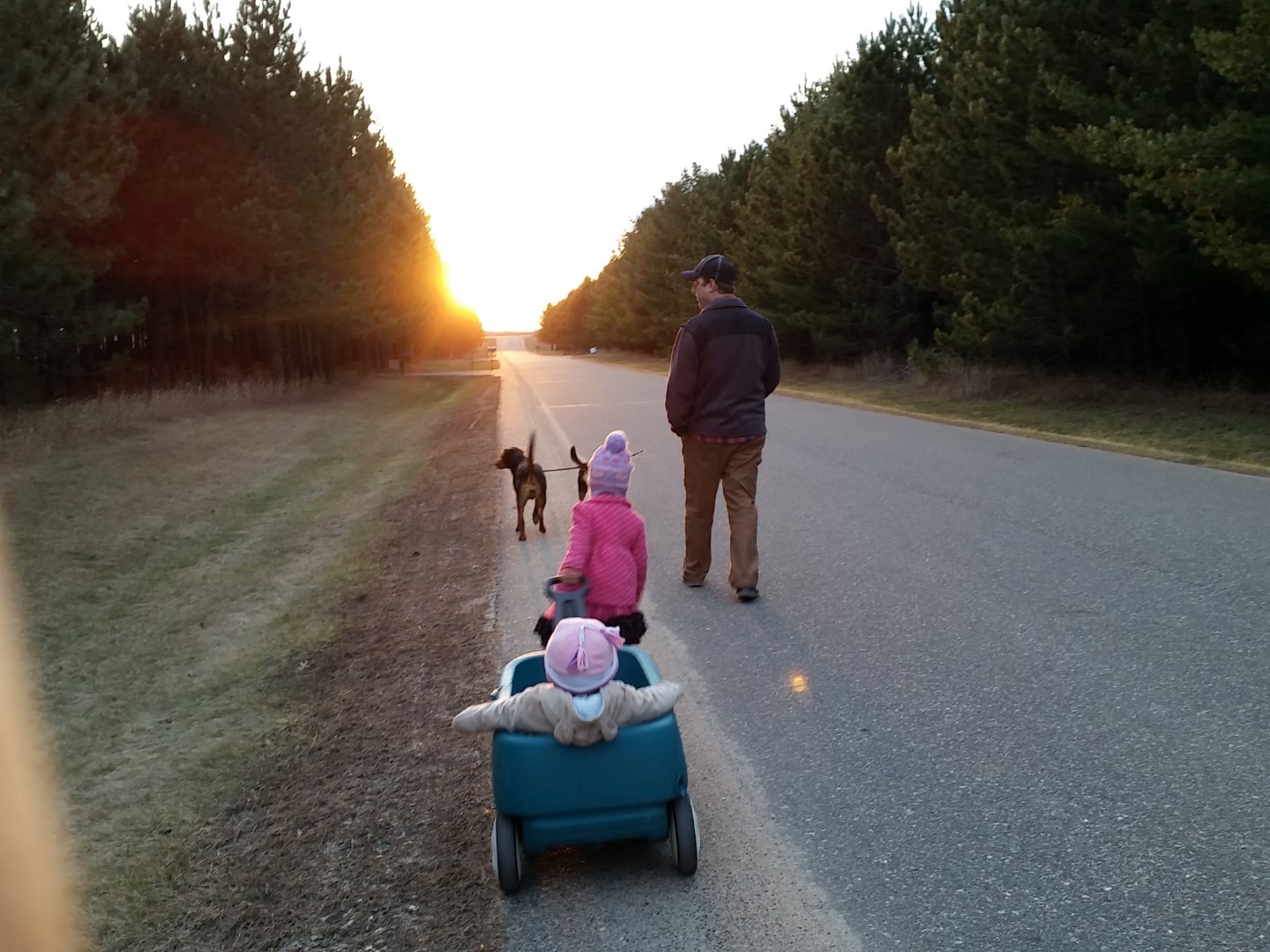 IMG_20160322_191514 (Large)