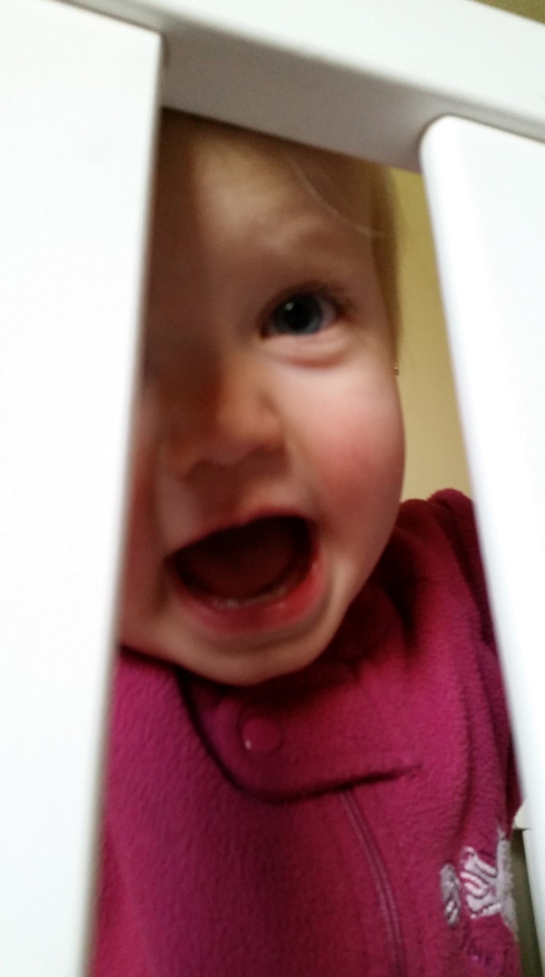 20160422_085150 (Large)