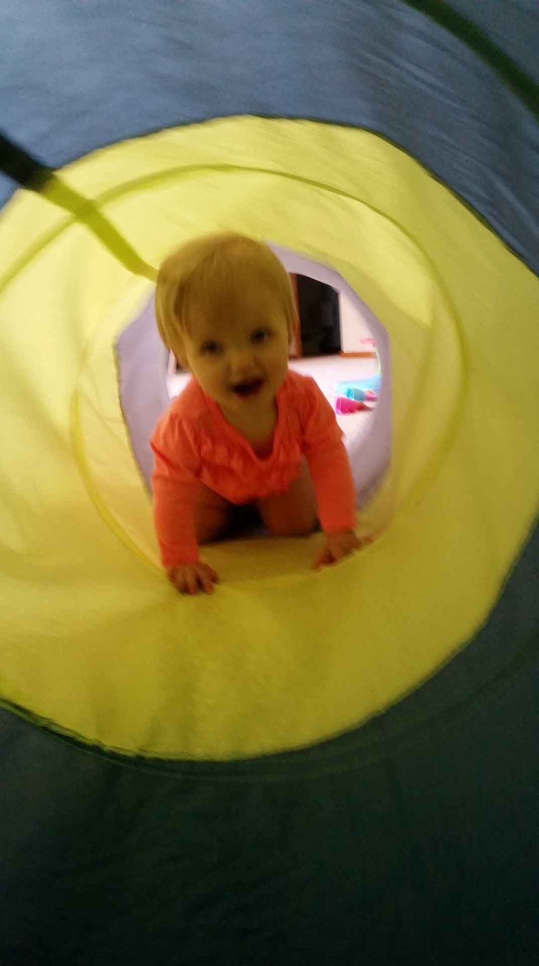 20160429_130529 (Large)