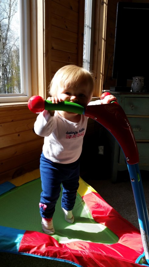 20160503_094602 (Large)