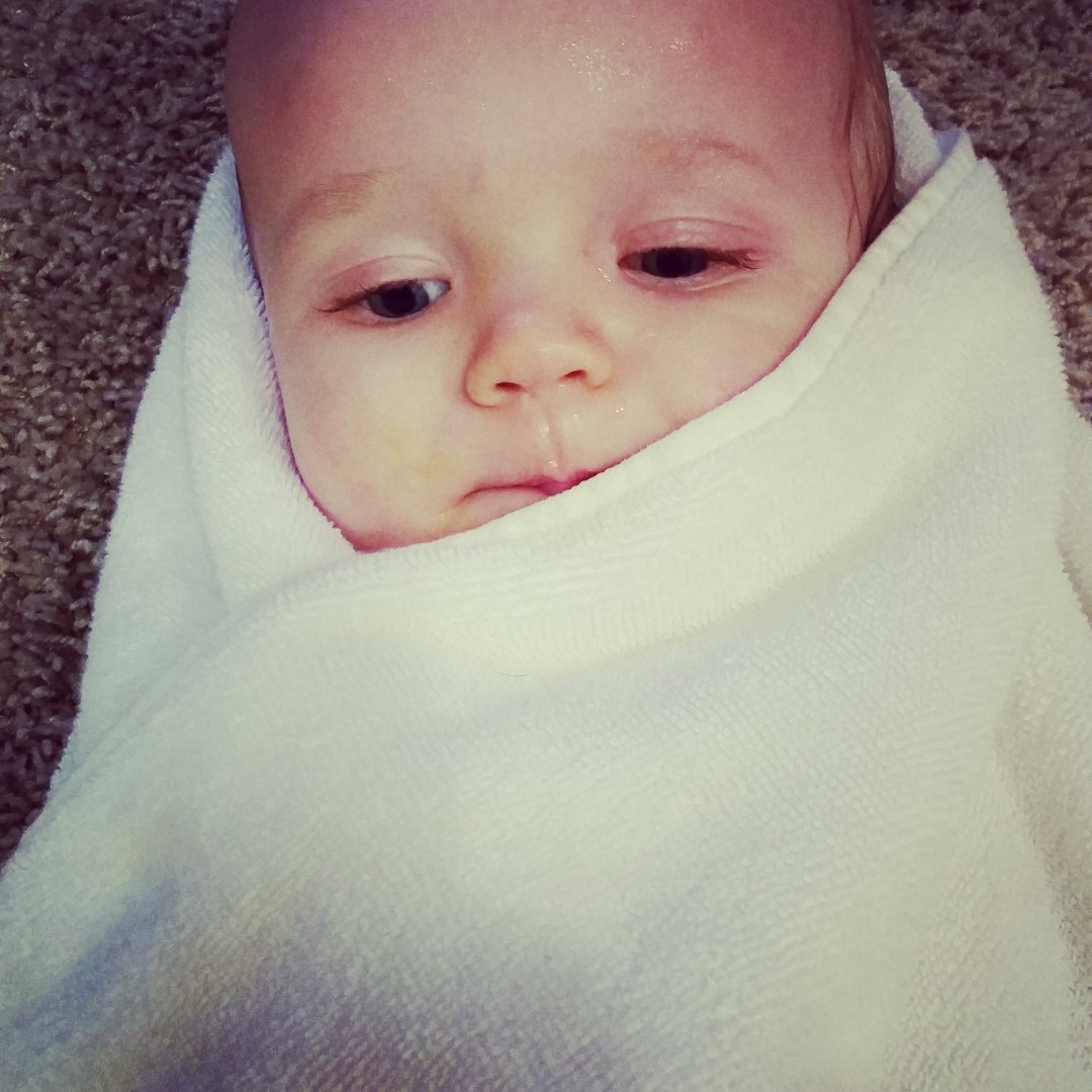 IMG_20160413_135330 (Large)