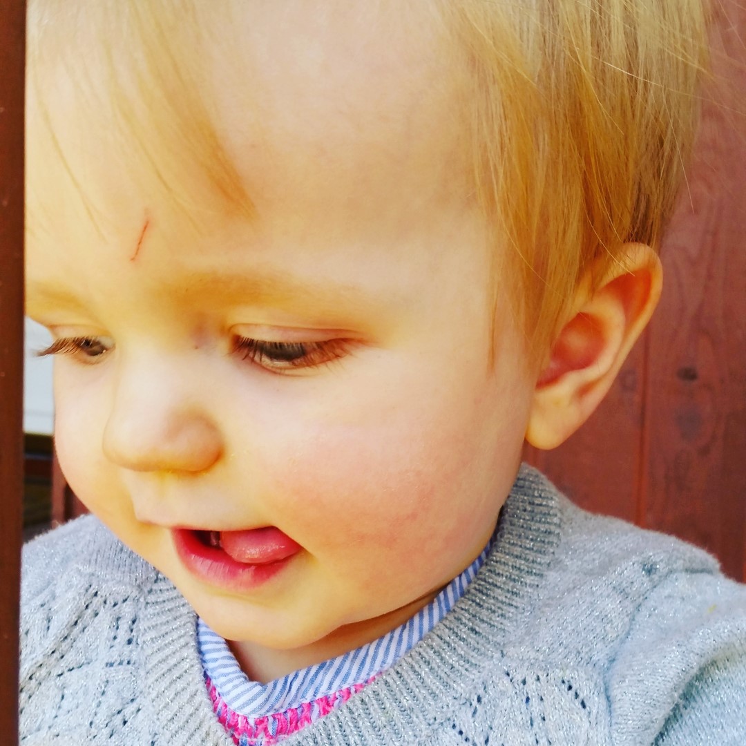 IMG_20160414_201231 (Large)