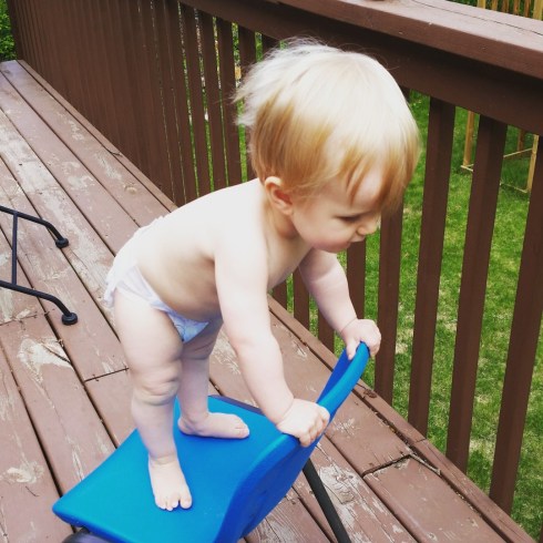 IMG_20160516_161515 (Large)