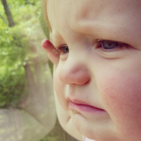 IMG_20160520_142721 (Large)