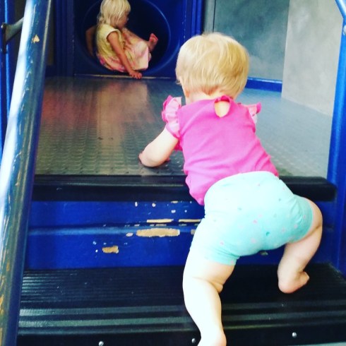 IMG_20160531_155019 (Large)