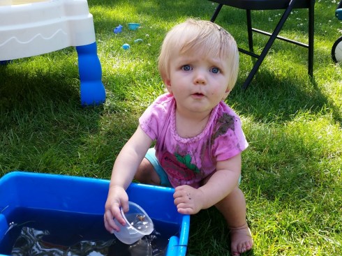 IMG_20160623_160722 (Large)