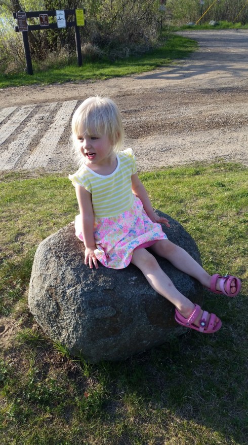 20160506_183754 (Large)