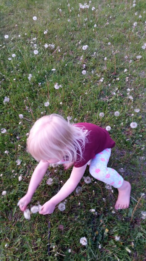 20160518_202213 (Large)