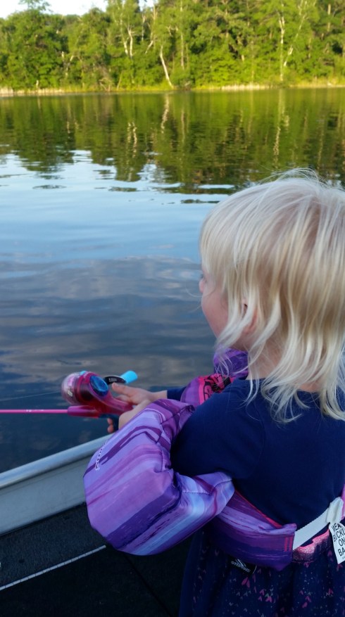 20160618_202048 (Large)