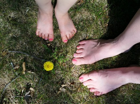 IMG_20160506_105250 (Large)