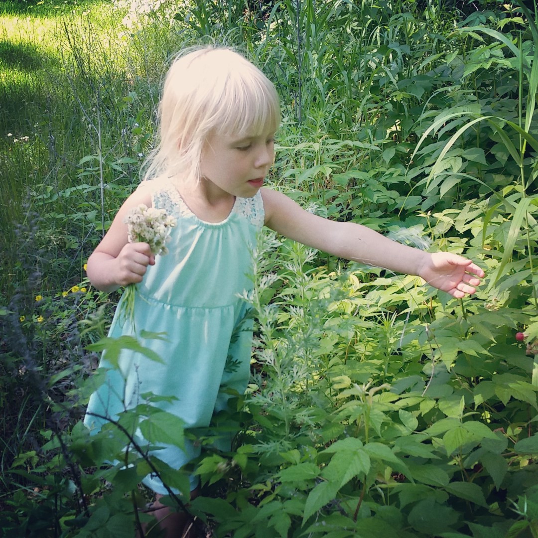 IMG_20160629_170432 (Large)