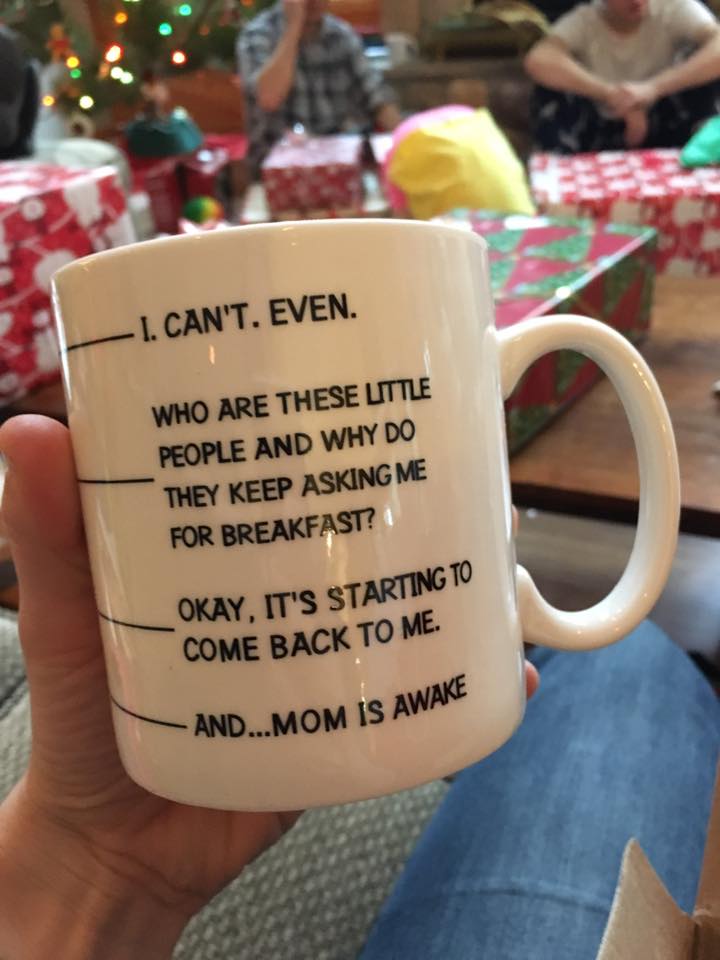 15780887_1332806673416318_9097940835346127866_n