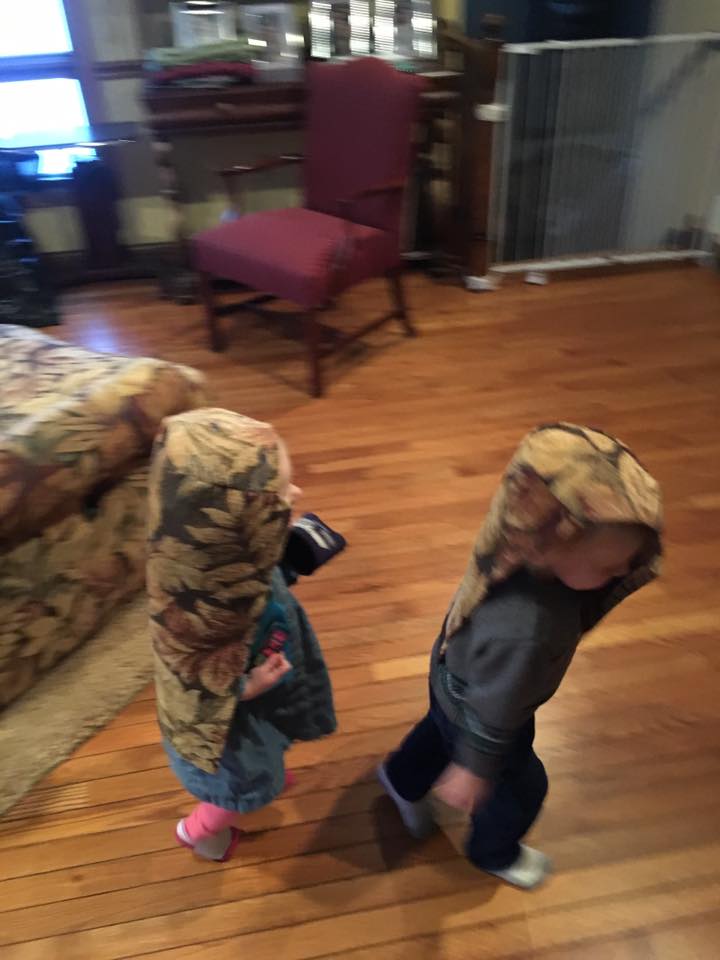 15781534_1338920992804886_5472908077247000943_n