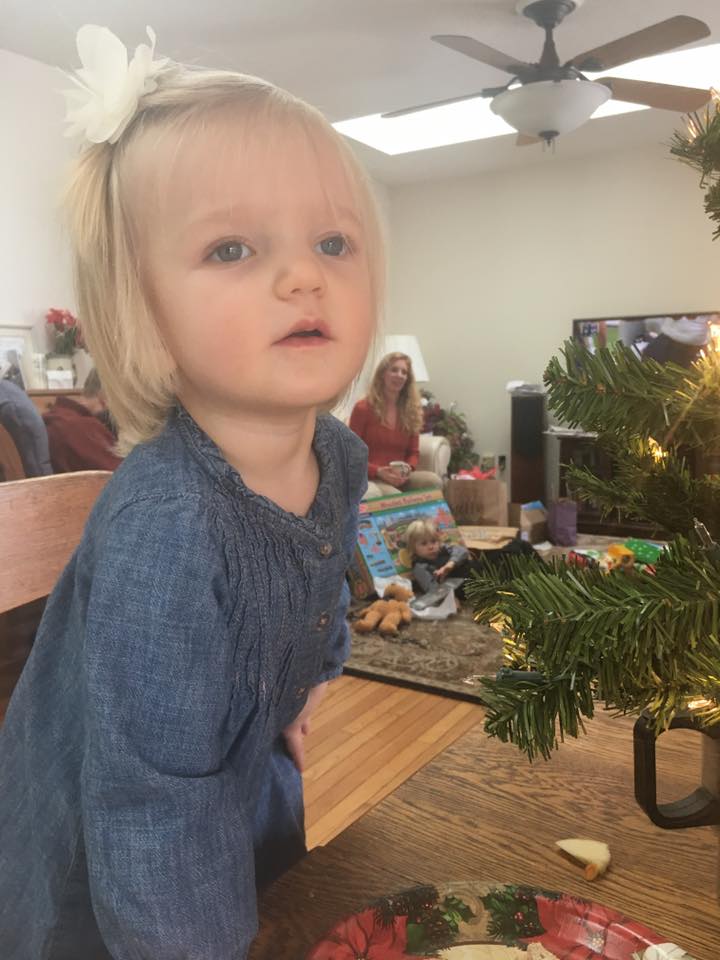 15823680_1338921229471529_3041714289093367911_n