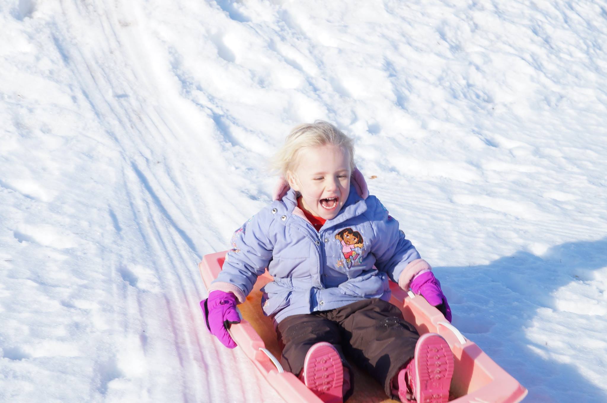 15844768_10103166677744622_7747851522964179194_o